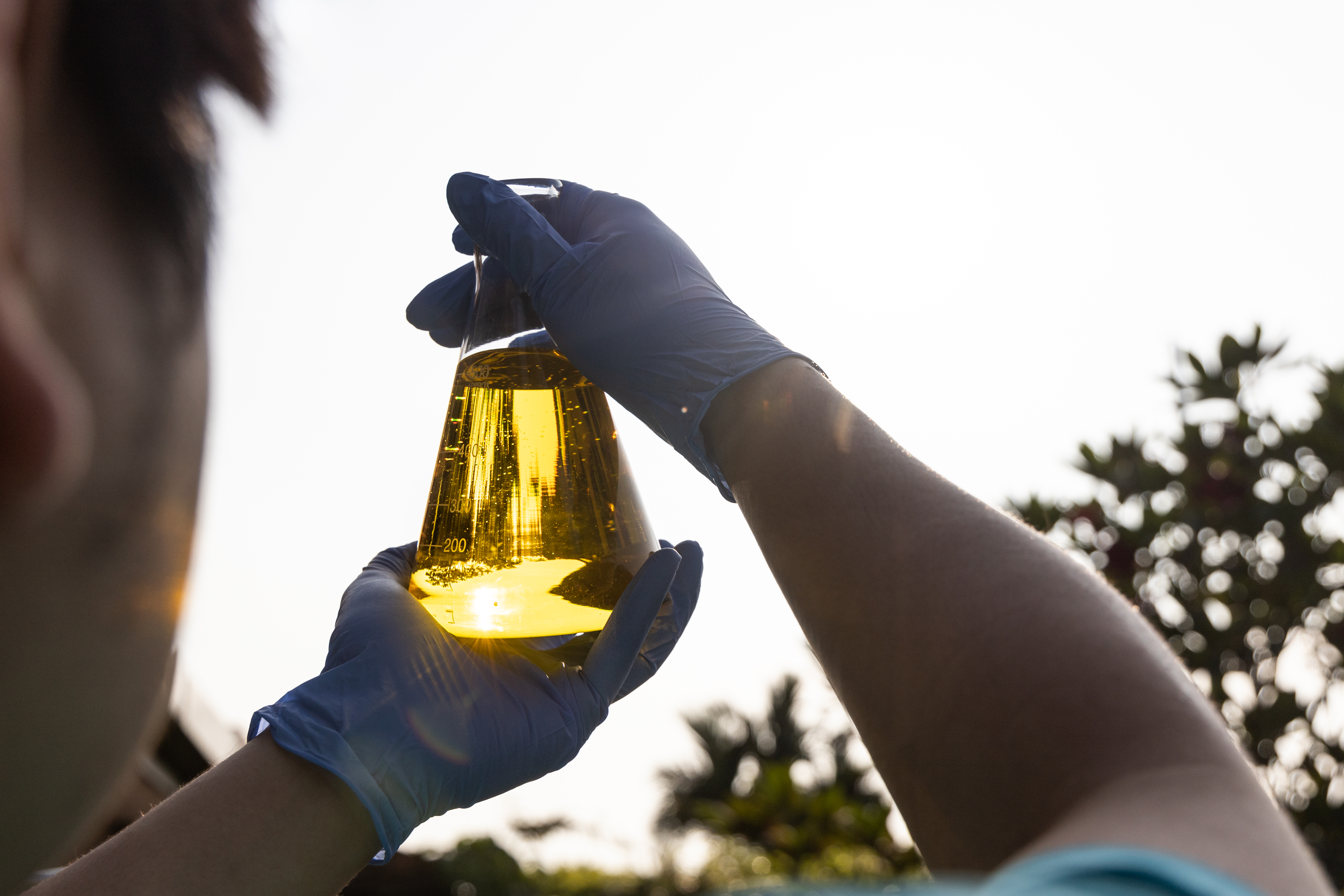 Mistura de biodiesel no diesel dos postos sobe nesta sexta-feira para maior patamar já praticado no Brasil